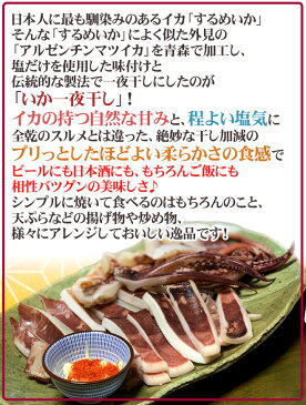 【送料無料】”するめいか開き 一夜干し” 約120〜150g前後 2枚×《2袋》 真イカ 干物 岩手産/三陸北部沖