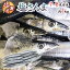 【送料無料】北海道産 ”塩さんま” 7〜8尾前後 約1kg サンマ 秋刀魚