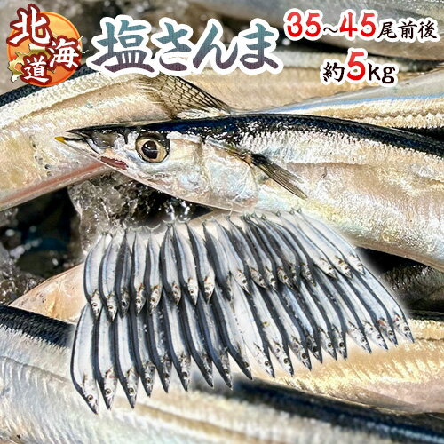 2025年新物!北海道産 ”塩さんま” 35〜45尾前後 約5kg サンマ 秋刀魚 【予約 入荷次第発送】 送料無料