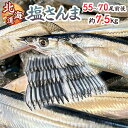 【9/15限定!全額ポイントバックの大チャンス】2025年新物!北海道産 ”塩さんま” 55〜70尾前後 約7.5kg サンマ 秋刀魚 【予約 入荷次第発送】 ...