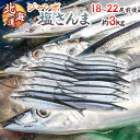 【9/15限定!全額ポイントバックの大チャンス】2025年新物!北海道産 ”ジャンボ塩さんま” 18〜22尾前後 約3kg サンマ 秋刀魚 【予約 入荷次第発送...