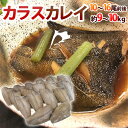 ”カラスカレイ” ドレス 10〜16尾前後 約9〜10kg 鰈/カラスガレイ 送料無料