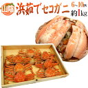 商品画像2