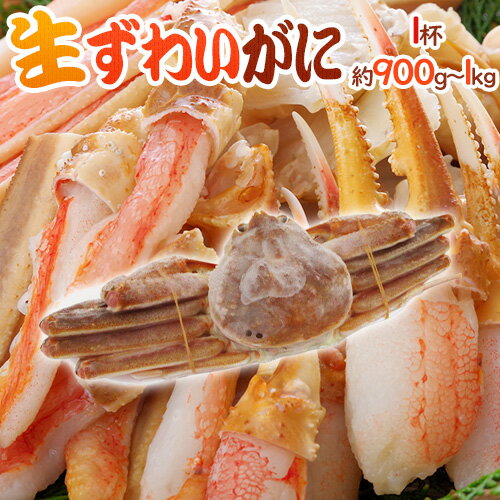 ロシア産 冷凍 ”生ズワイガニ” 1杯 約900g～1kg 姿 ズワイ蟹 送料無料のサムネイル