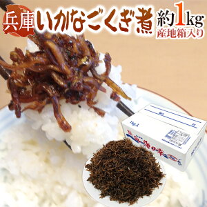 2021年新物 兵庫産 ”いかなご釘煮” 新子 約1kg 産地箱入り【予約 入荷次第発送】 送料無料