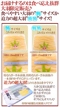 北海道 井原水産 ”ヤマニ 塩数の子” 特〜特特 約1kg 化粧箱 ブリストル産 塩かずのこ☆【予約 12月以降】