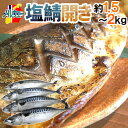 ノルウェー ”塩鯖開き” 4〜5尾前後 約1.5〜2kg 背開き 塩サバ 送料無料