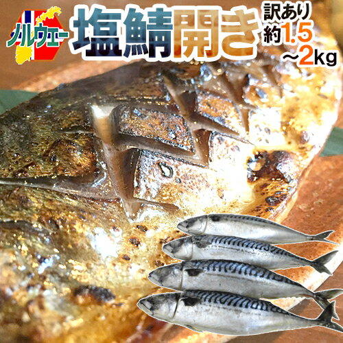 ノルウェー ”塩鯖開き” 訳あり 4〜5尾前後 約1.5〜2kg 背開き 塩サバ 【予約 入荷次第発送】 送料無料