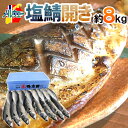 ノルウェー ”塩鯖開き” 16〜20尾前後 約8kg 背開き 塩サバ 送料無料