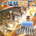 ノルウェー ”塩鯖開き” 訳あり 16〜20尾前後 約8kg 背開き 塩サバ 送料無料