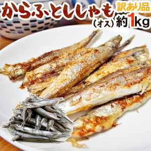 ”カラフトししゃも（オス）” 約1kg 訳あり カラフトシシャモ/樺太ししゃも 送料無料