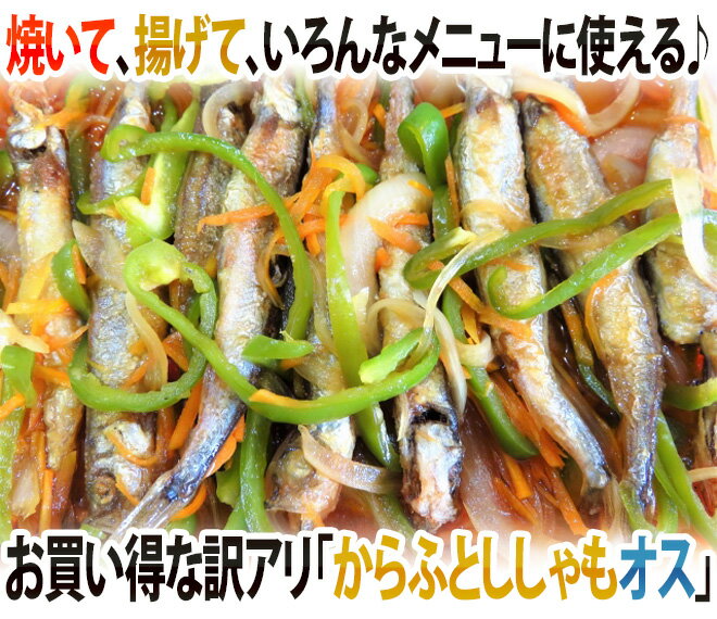 ”カラフトししゃも（オス）” 約2kg 訳あり カラフトシシャモ/樺太ししゃも 送料無料