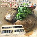 【送料無料】”ソフト身欠きにしん” 20〜22尾前後 約2kg 木箱入り みがきにしんソフト/鰊/五分乾