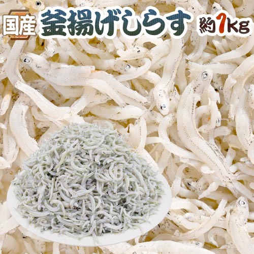 国産 ”釜揚げしらす” 約1kg ちりめんじゃこ 送料無料