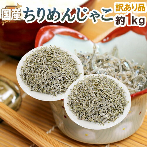 【ふるさと納税】【5ヶ月定期便】しらす干し 天日乾燥800g（400g×2）【茨城県共通返礼品/北茨城市】（HY-5）