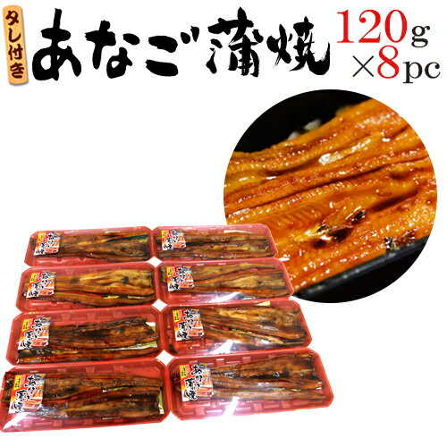 宮城県 三陸沖産 ”あなご蒲焼” 120g×8pc 山椒・タレ付き 送料無料