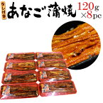 宮城県 三陸沖産 ”あなご蒲焼” 120g×8pc 山椒・タレ付き 送料無料