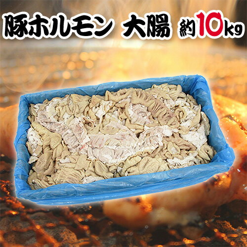 【ふるさと納税】【冷凍】味付豚ホルモンみのり焼き（300g×1袋）《みのり》 惣菜 肉 豚肉 ホルモン 冷凍