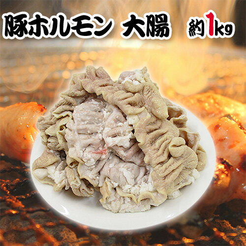 国産 ”豚大腸(シロ)ボイル” 約1kg 未カット