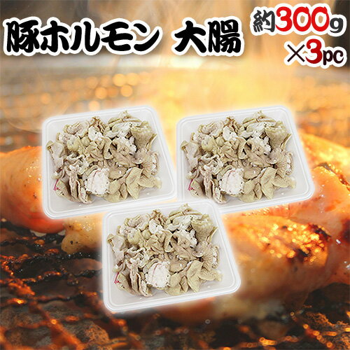 国産 ”豚大腸（シロ）ボイル” 約900g （約300g×3pc） カット済み