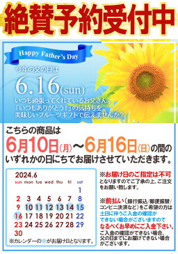 【送料無料】父の日ギフト 山形県東根産 ”さくらんぼ 佐藤錦 2L 秀品 チョコ箱 24粒”【6/15〜6/21のお届け予定 産地直送 予約】