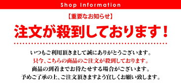 リレーアタック リレーアタック対策 キーケース 電波遮断 ケース ポーチ リレーアタック防止 盗難防止 電波遮断ポーチ スマートキーケース トヨタ プリウス ホンダ NBOX JF3 スズキ スバル ダイハツ 日産 スバル マツダ 三菱 スマートキーカバー 【受注生産】【P】 【SS】