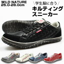 スニーカー ローカット メンズ 靴 WILD NATURE 2790
