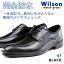 ̵ ɿ  ӥͥ塼 Wilson water-proof 61 륽פ򸫤