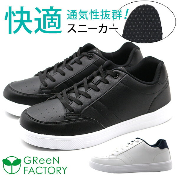 ˡ    ֥å  ۥ磻  ڤ ˤ ˤ 륤󥽡  ꡼ եȥ꡼ GR...