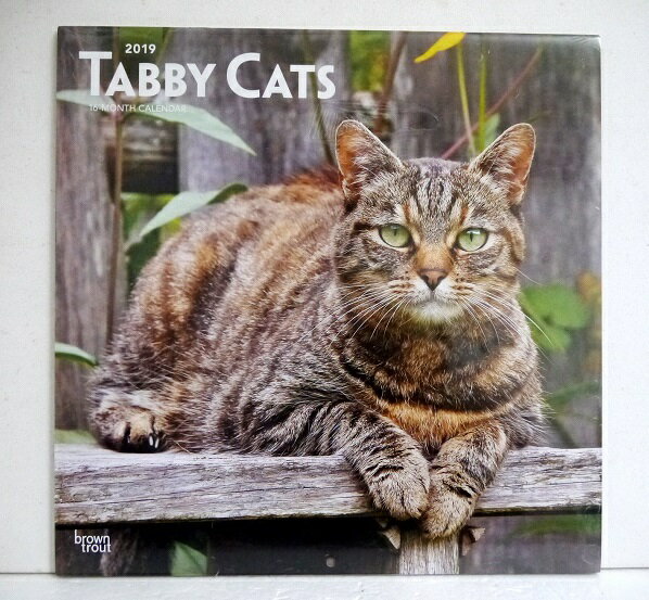 輸入2019年猫カレンダー「Tabby Cats/トラ猫」『Tabby Cats 2019』 　月めくり形式で、上部に写真、下部に日付（メモ欄あり）　のデザインです。　30cm×30cm。 2019年　1月〜12月まで。未開封新品です。発送は飛脚メール便250円を予定しております。※メール便の際は代引きはできませんのでご了承下さい