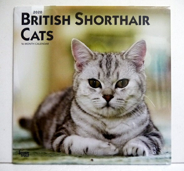 輸入2020年猫カレンダー「ブリティッシュショートヘア」『British Shorthair CATS&nbsp;2020』　月めくり形式で、上部に写真、下部に日付（メモ欄あり）　のデザインです。　30cm×30cm。 2020年　1月〜12月まで。未開封新品です。※左上隅に少し折れがあります。ご了承下さいませ。発送は定形外郵便350円を予定しております。