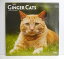 輸入2019年猫カレンダー「GINGER CATS トラネコ」