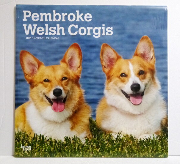 輸入2021年カレンダー「ウェルシュコーギーペンブローク」『PEMBROKE WELSH CORGIS 2021』月めくり形式で、上部に写真、下部に日付（メモ欄あり）のデザインです。30cm×30cm。 2021年　1月?12月まで。未開封新品です。発送は定形外郵便380円を予定しています。