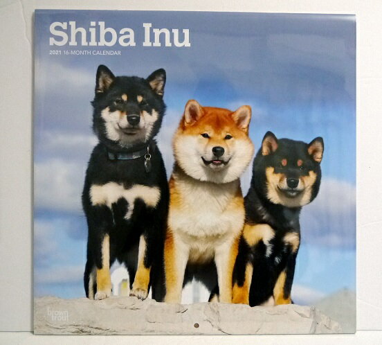 輸入2021年犬カレンダー「柴犬（シバイヌ）」『lShiba Inu 』月めくり形式で、上部に写真、下部に日付（メモ欄あり）のデザインです。30cm×30cm。 2021年　1月?12月まで。未開封新品です。発送は定形外郵便380円を予定しています。