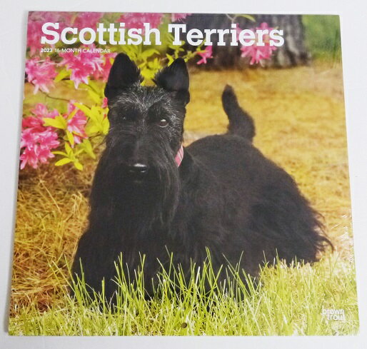 輸入2023年犬カレンダー「スコティッシュ・テリア」『Scotish Terriers　2023』　月めくり形式で、上部に写真、下部に日付　（メモ欄あり）のデザインです。　30cm×30cm。 2023年　1月〜12月まで。未開封新品です。発送は定形外郵便510円を予定しています。.
