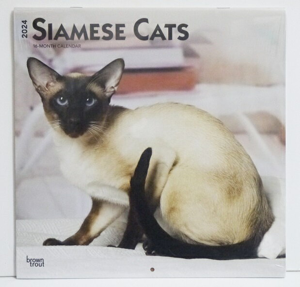 輸入2024年猫カレンダー「シャム猫」『SIAMESE CATS』　月めくり形式で、上部に写真、下部に日付（メモ欄あり）のデザインです。　30cm×30cm。 2024年　1月〜12月まで。未開封新品です。発送は定形外郵便510円を予定しています。