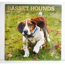 輸入2020年犬カレンダー「バセットハウンズ」『Basset Hounds　2020』 　月めくり形式で、上部に写真、下部に日付（メモ欄あり）　のデザインです。　30cm×30cm。 2020年　1月〜12月まで。未開封新品です。発送は飛脚メール便250円を予定しております。※飛脚メール便は配達に日にちがかなりかかります。(4〜6日程度)　又、代引きはできませんのでご了承お願い致します 。