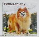 輸入2023年犬カレンダー「ポメラニアン」・『POMERANIANS 2023』　月めくり形式で、上部に写真、下部に日付（メモ欄あり）のデザインです。　30cm×30cm。 2023年　1月～12月まで。未開封新品です。発送は定形外郵便510円を予定しています。