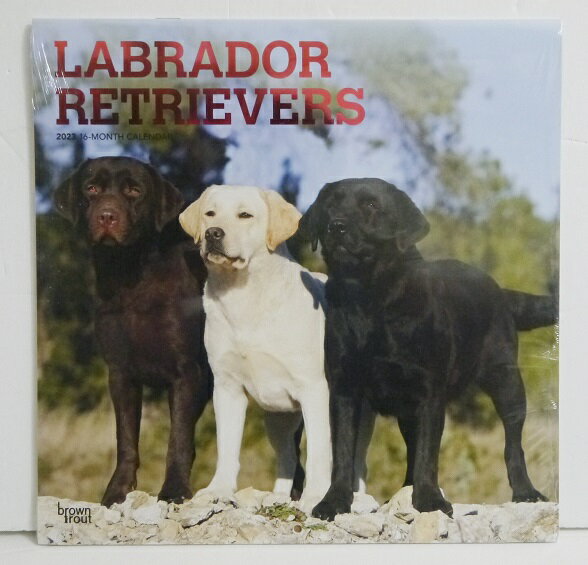 輸入2023年犬カレンダー「ラブラドールレトリバー」『Labrador retrievers&nbsp;2023』　月めくり形式で、上部に写真、下部に日付　（メモ欄あり）のデザインです。　30cm×30cm。 2023年　1月～12月まで。未開封新品です。発送は定形外郵便510円を予定しています。※定形外郵便は配達にかなり日にちがかかる時があります、ご了承下さい。