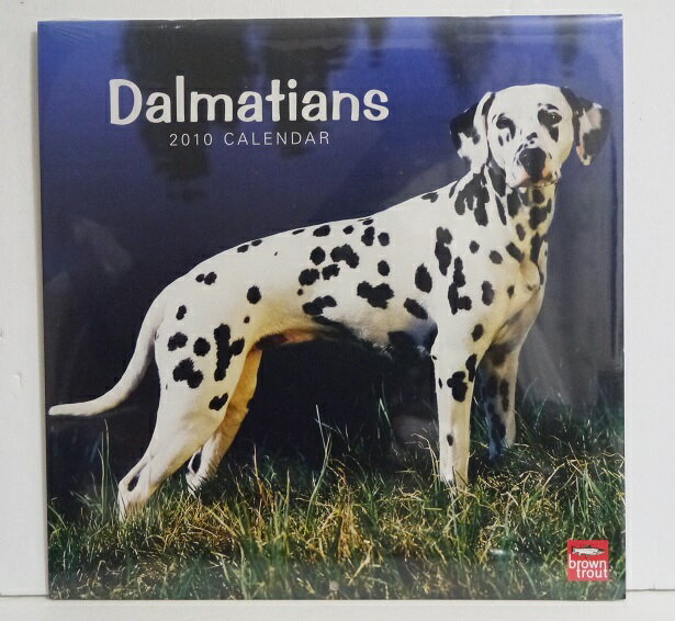 輸入2010年犬カレンダー「ダルメシアン」『DALMATIANS』　月めくり形式で、上部に写真、下部に日付（メモ欄あり）　のデザインです。　30cm×30cm。 2010年1月～12月まで。未開封新品です。発送は定形外郵便510円を予定しております。