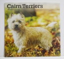 輸入2024年犬カレンダー「ケアンテリア」『CAIRN TERRIERS&nbsp;2024』　月めくり形式で、上部に写真、下部に日付　（メモ欄あり）のデザインです。　30cm×30cm。 2024年　1月～12月まで。未開封新品です。発送は定形外郵便510円を予定しています。※定形外郵便は配達にかなり日にちがかかる時があります、ご了承下さい。