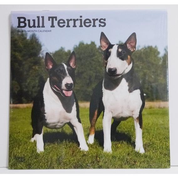 輸入2024年犬カレンダー「ブルテリア」『BULL TERRIERS』　月めくり形式で、上部に写真、下部に日付（メモ欄あり）　のデザインです。　30cm×30cm。 2024年　1月～12月まで。未開封新品です。発送は定形外郵便510円を予...