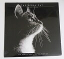 輸入2024年猫カレンダー「THE REGAL CAT（リーガル キャット）」