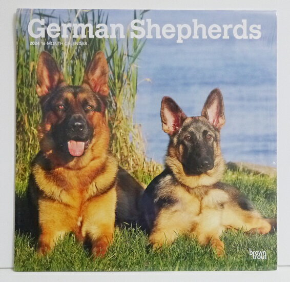 輸入2024年犬カレンダー「ジャーマンシェパード」『German shepherds　&nbsp;2024』　月めくり形式で、上部に写真、下部に日付　（メモ欄あり）のデザインです。　30cm×30cm。 2024年　1月～12月まで。未開封新品です。発送は定形外郵便510円を予定しています。※定形外郵便は配達にかなり日にちがかかる時があります、ご了承下さい。