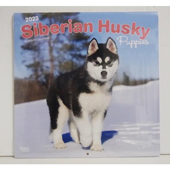 輸入2023年犬カレンダー「シベリアンハスキー パピー」『Siberian Huskey puppies』　月めくり形式で、上部に写真、下部に日付（メモ欄あり）のデザインです。　30cm×30cm。 2023年　1月～12月まで。未開封新品です。発送は定形外郵便510円を予定しています。※定形外郵便は配達にかなり日にちがかかる時があります、ご了承下さい。
