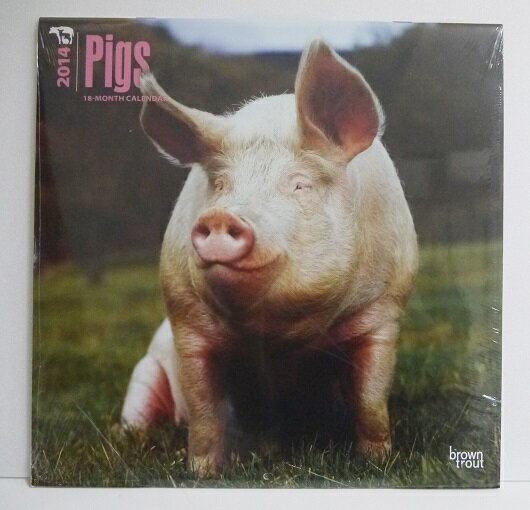 ͢2014ǯ֥֥/PIGS