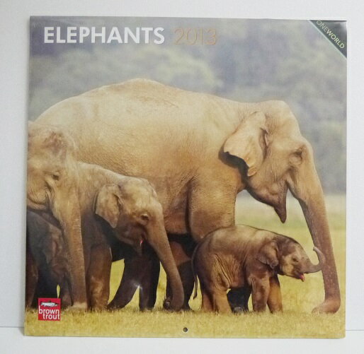 輸入2013年カレンダー「象/ELEPHANTS」