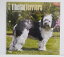 輸入2015年犬カレンダー「チベタン・テリア」 1,200円