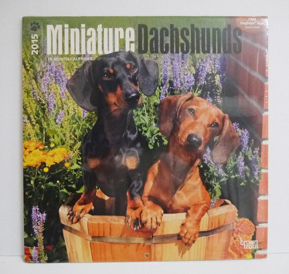 輸入2015年犬カレンダー「ミニチュ