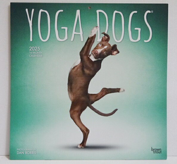 ͢2025ǯYOGA DOGS襬ɥå